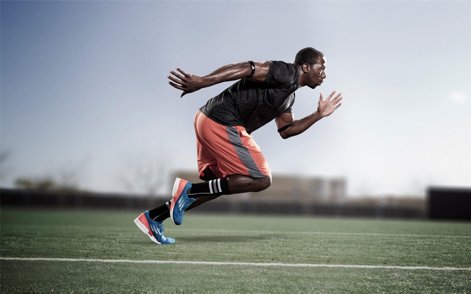 巴西举办篮球主题展览，巴西篮球全武行